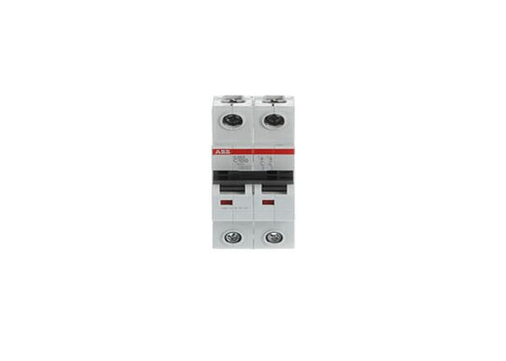 ABB S202-C100 2CDS252001R0824 S202-C100 Миниатюрный выключатель - 2P - C - 100 A