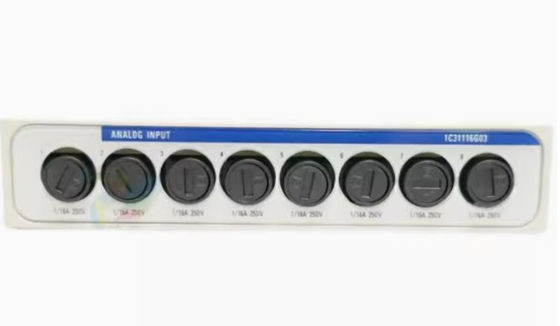 Westinghouse 1C31116G03 Овационный модуль 0-20mA Местный аналоговый входный модуль личности